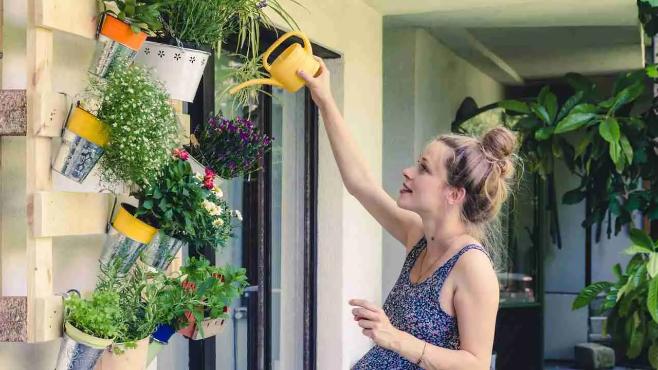 Piante da balcone per la primavera: ecco quali scegliere. LISTA